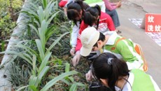 瑞康临床医学院团委开展“绿色环保，健康你我”学雷锋活动