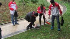 学习雷锋我当先 美化家园大行动