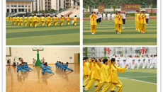 基础医学院在点点体育第29届传统保健体育运动会中再获佳绩