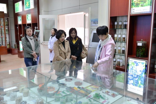 参观中药标本展示室