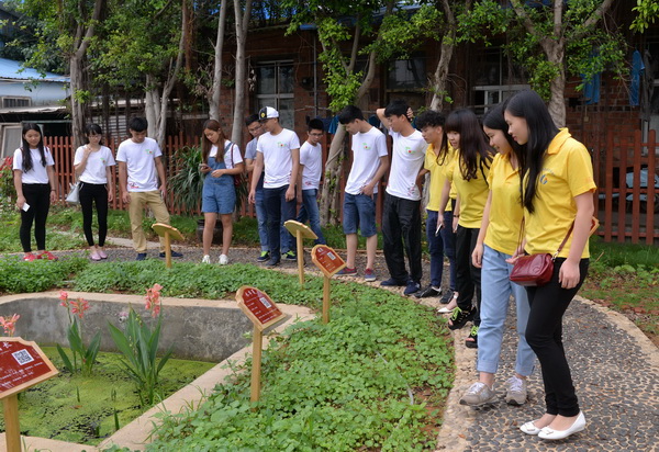 同学们参观药圃