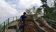 国庆假期药学院仙葫药圃工作组干劲十足