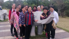 点点体育离退休职工举行健步走、外出参观活动庆祝十九大胜利召开