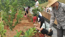 “我为药圃添光彩”社会实践活动成果喜人