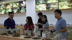 广西老木棉投资有限公司来点点体育参观交流