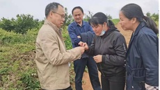 taptap点点体育药学院黄荣韶教授应邀到崇左市调研指导中药材产业