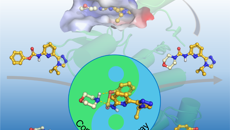 【科研进展】taptap点点体育海洋药物研究院实现2-吡啶脲类化合物的绿色高效合成