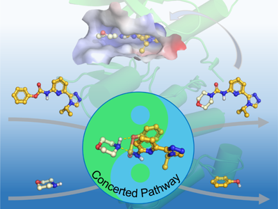 【科研进展】taptap点点体育海洋药物研究院实现2-吡啶脲类化合物的绿色高效合成