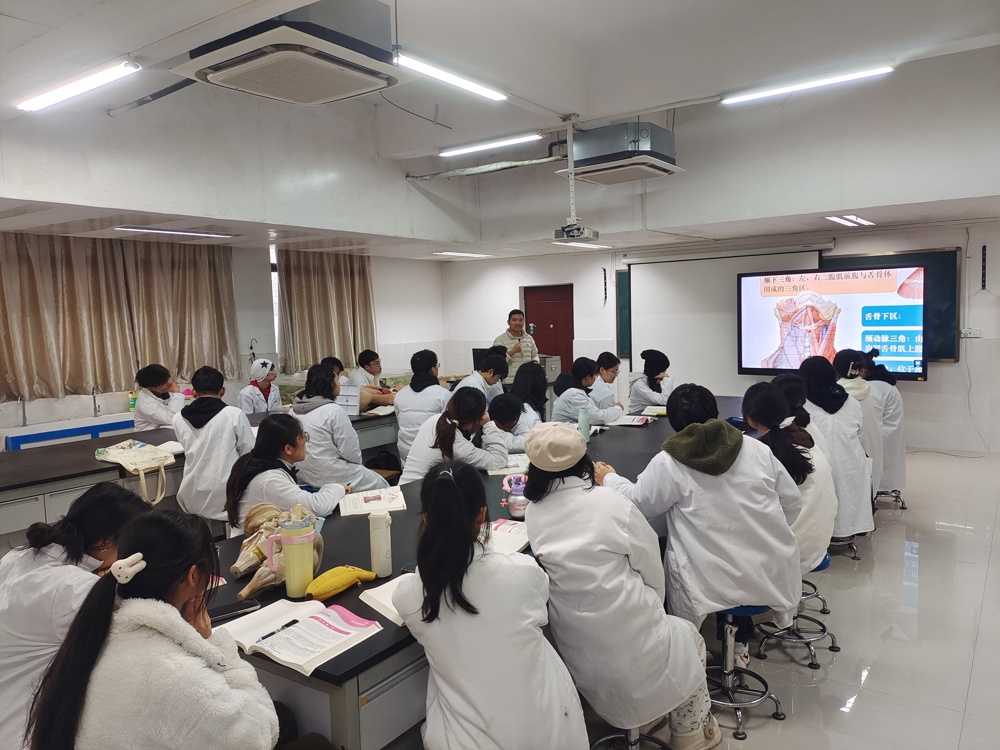 《人体正常系统解剖学》课堂