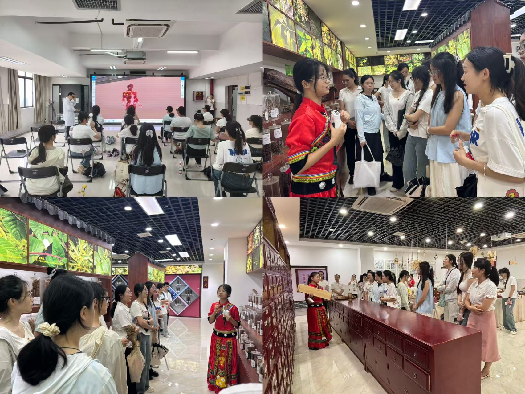 南宁师范大学初等教育学院第六学生党支部师生体验解剖VR实验和参观中药馆