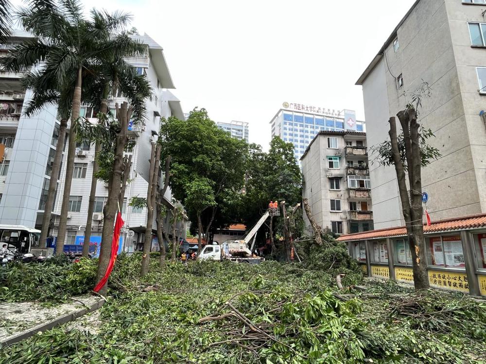 5519a3485cc9e922974cc1213a25c28