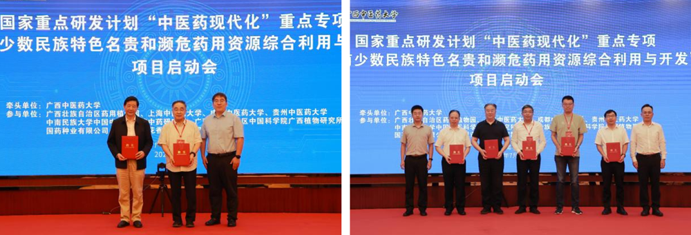 图片6_副本_original