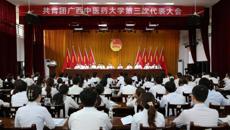 共青团taptap点点体育第三次代表大会顺利召开