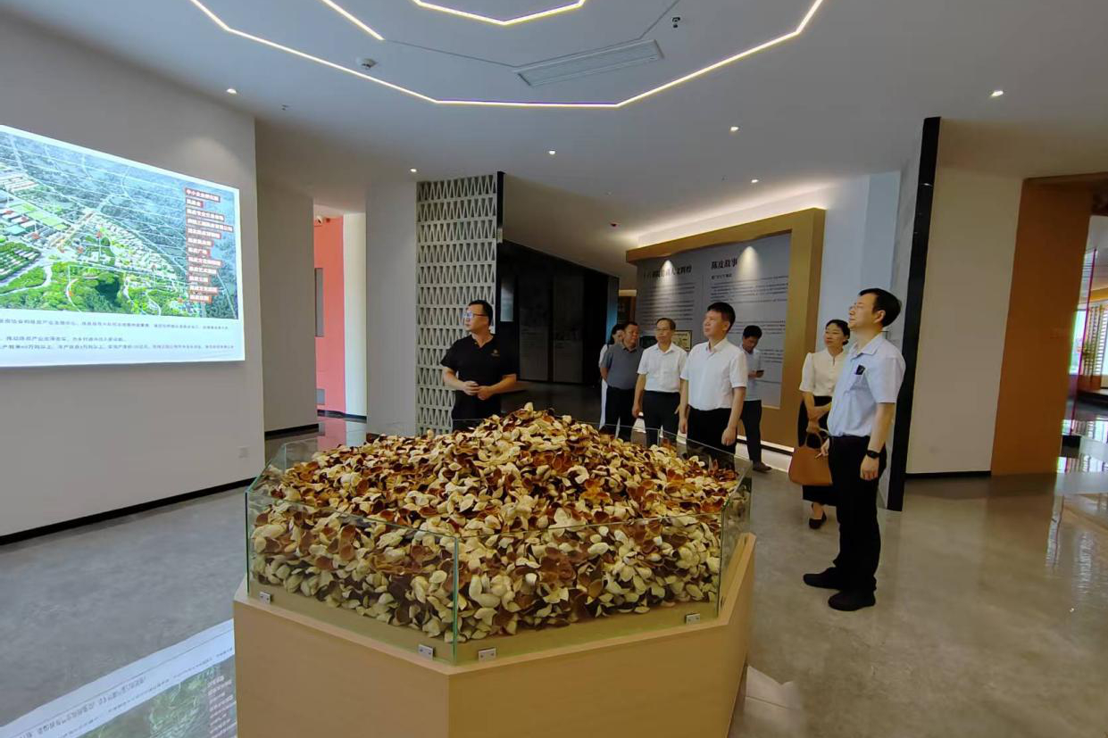 44dc3ab898ac6d005917889db79cc23b