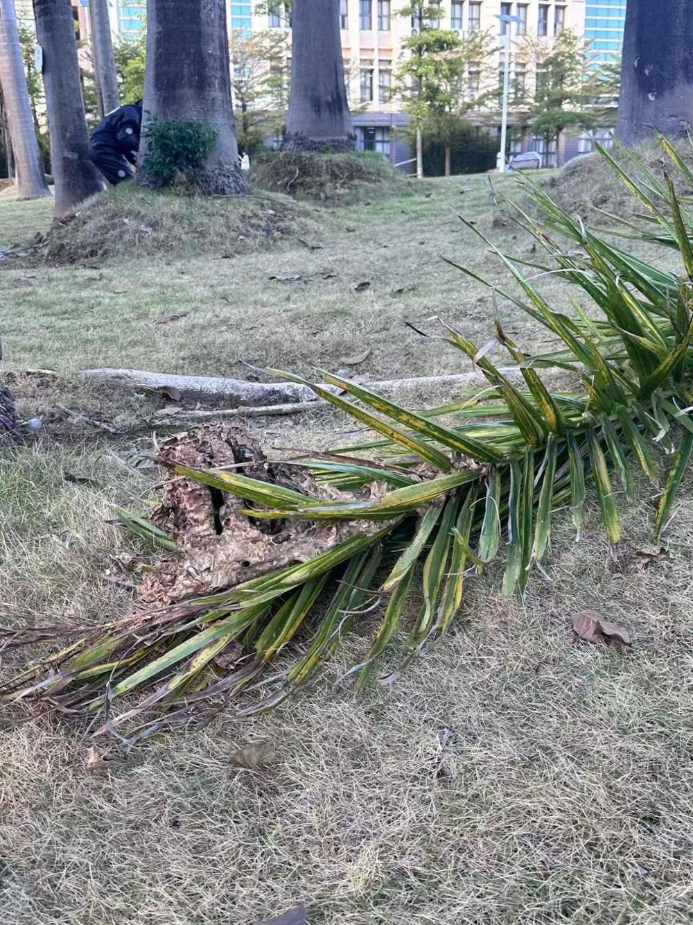 d96bc3027c7a08b1b68be35bb1f314f