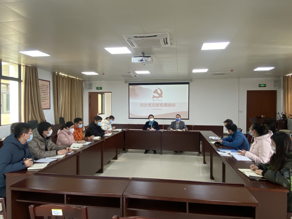 支部党课培训