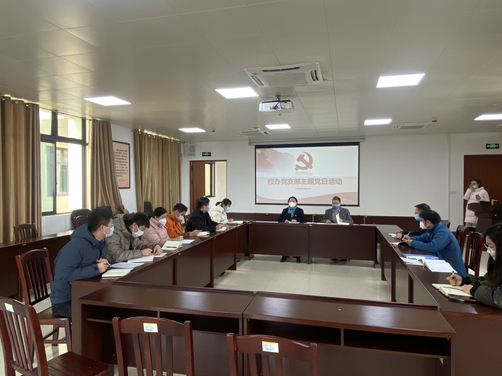 支部主题党日活动