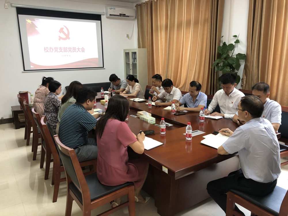 支部党员大会-传达七一庆祝建党大会精神