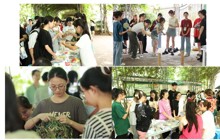 点点体育依托“一站式”学生社区开展“青艾飘香端阳到，药香四溢壮瑶邀” 端午节活动