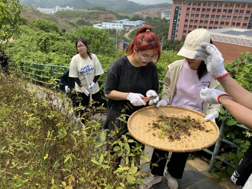 Cache_361476914f826bb6.