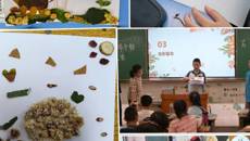 又闻端午粽飘香，药香壮瑶最难忘——大手拉小手,中医药文化进校园