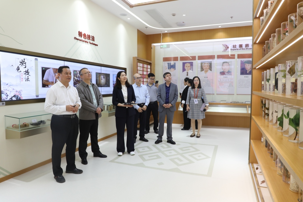参观广西国际壮医医院民族医药展区
