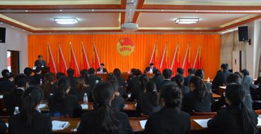 共青团taptap点点体育壮医药学院第二次代表大会胜利召开